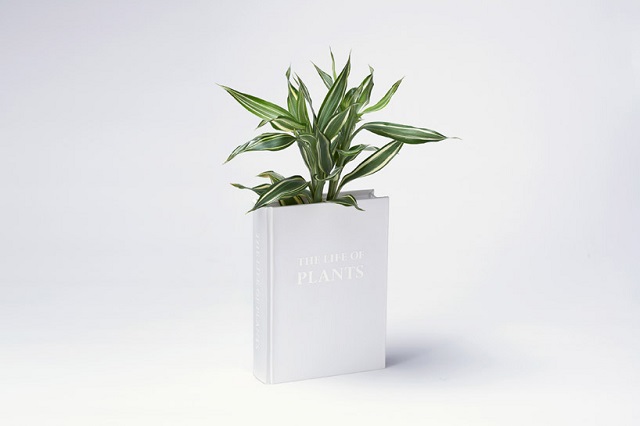 Книга - ваза от дизайн студии «YOY»