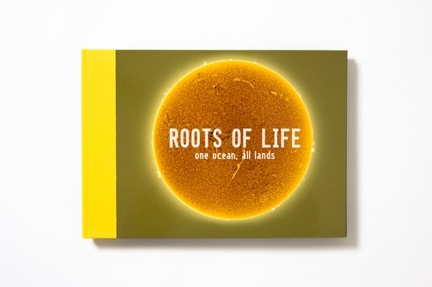 Коллекция nanamica x THE NORTH FACE PURPLE LABEL The Roots of Life Vol. 7: Yellow