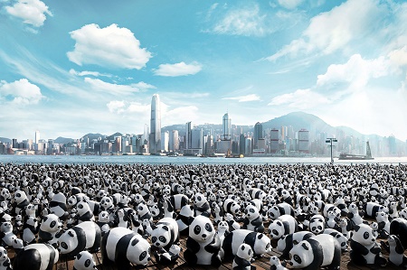 В Гонконге выставили 1600 панд из папье-маше
