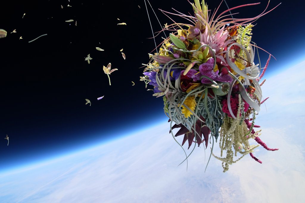 Японский флорист Азума Макото сфотографировал бонсай и букет цветов в стратосфере