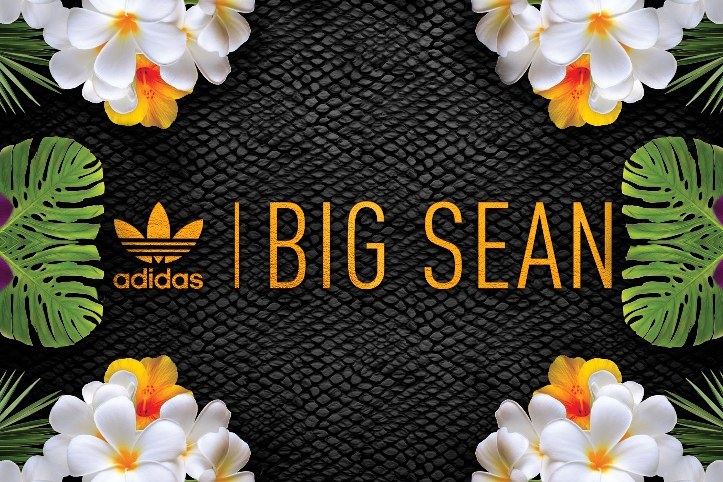 Коллаборация Big Sean x adidas Originals Осень 2014