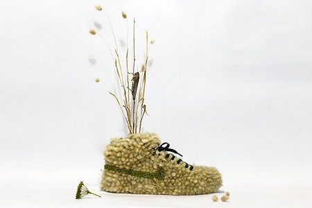 Проект «Just Grow It» — кроссовки Nike из семян растений и природных материалов