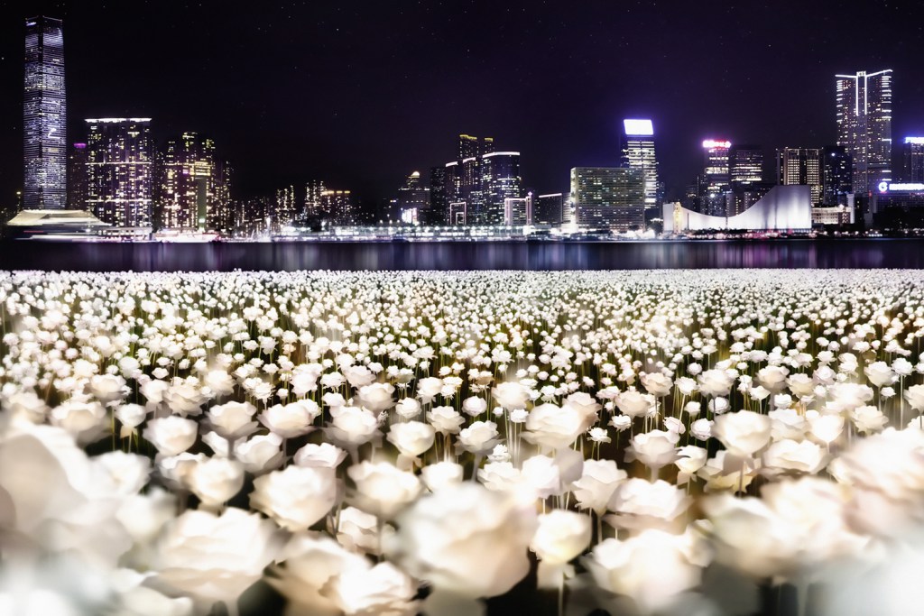 Инсталляция PANCOM «Light Rose Garden» в Гонконге