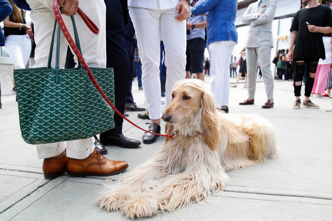 Уличный стиль на выставке Pitti Uomo 90. Часть I