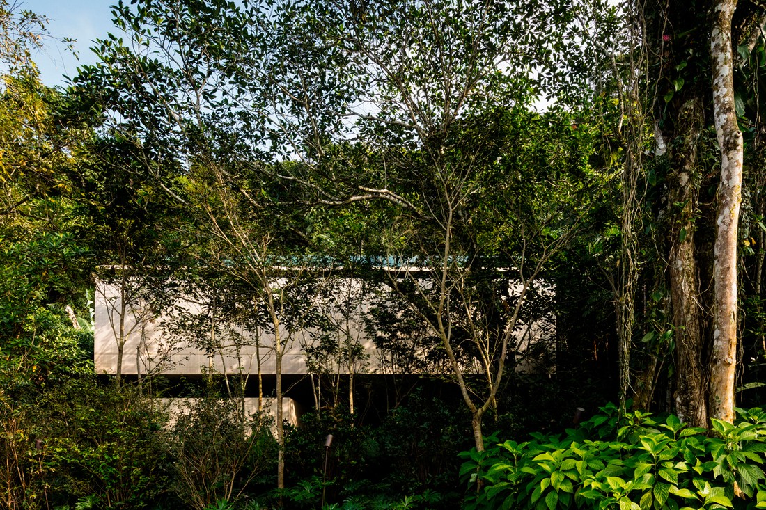 Дом в тропическом лесу — крепость уединения в бразильских джунглях