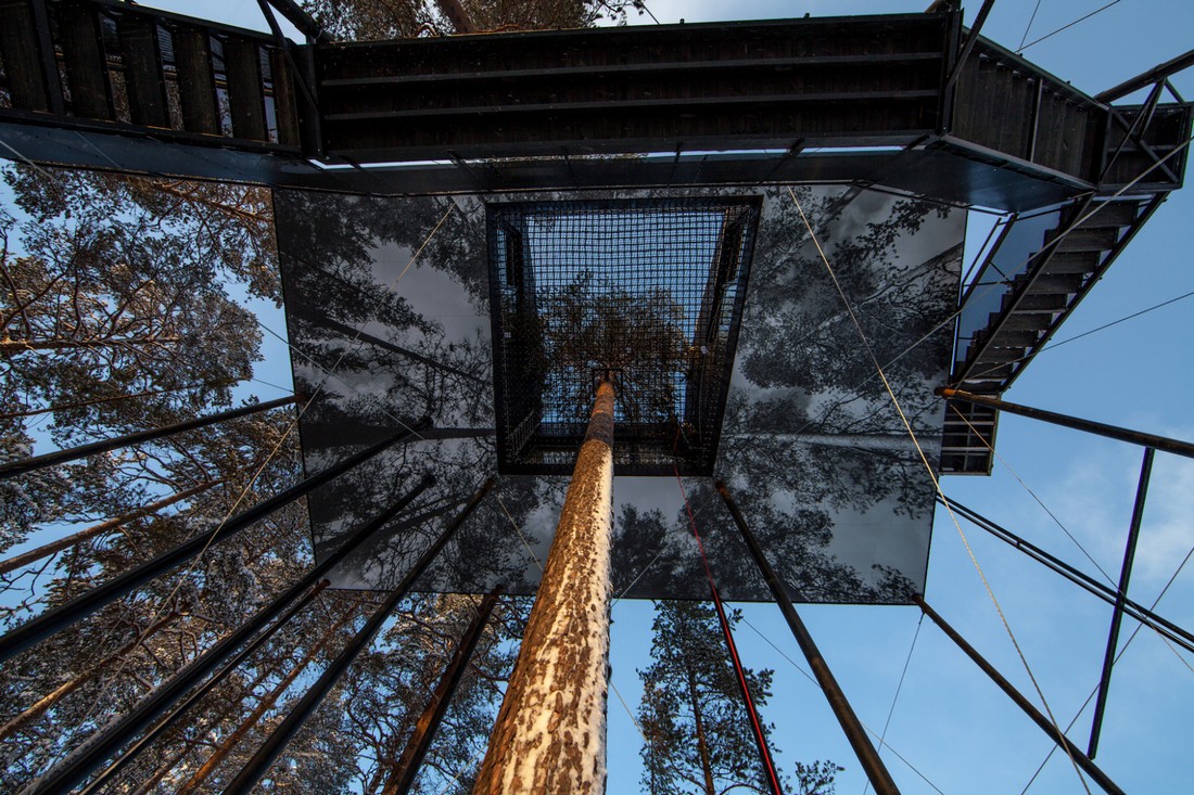 «The 7th Room» — номер на дереве, открывающий захватывающие пейзажи Швеции