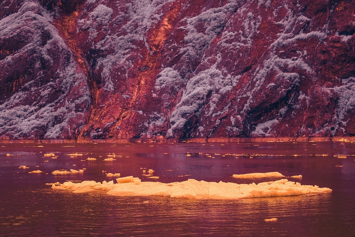 Потрясающие фотографии фьорда Tracy Arm на Аляске